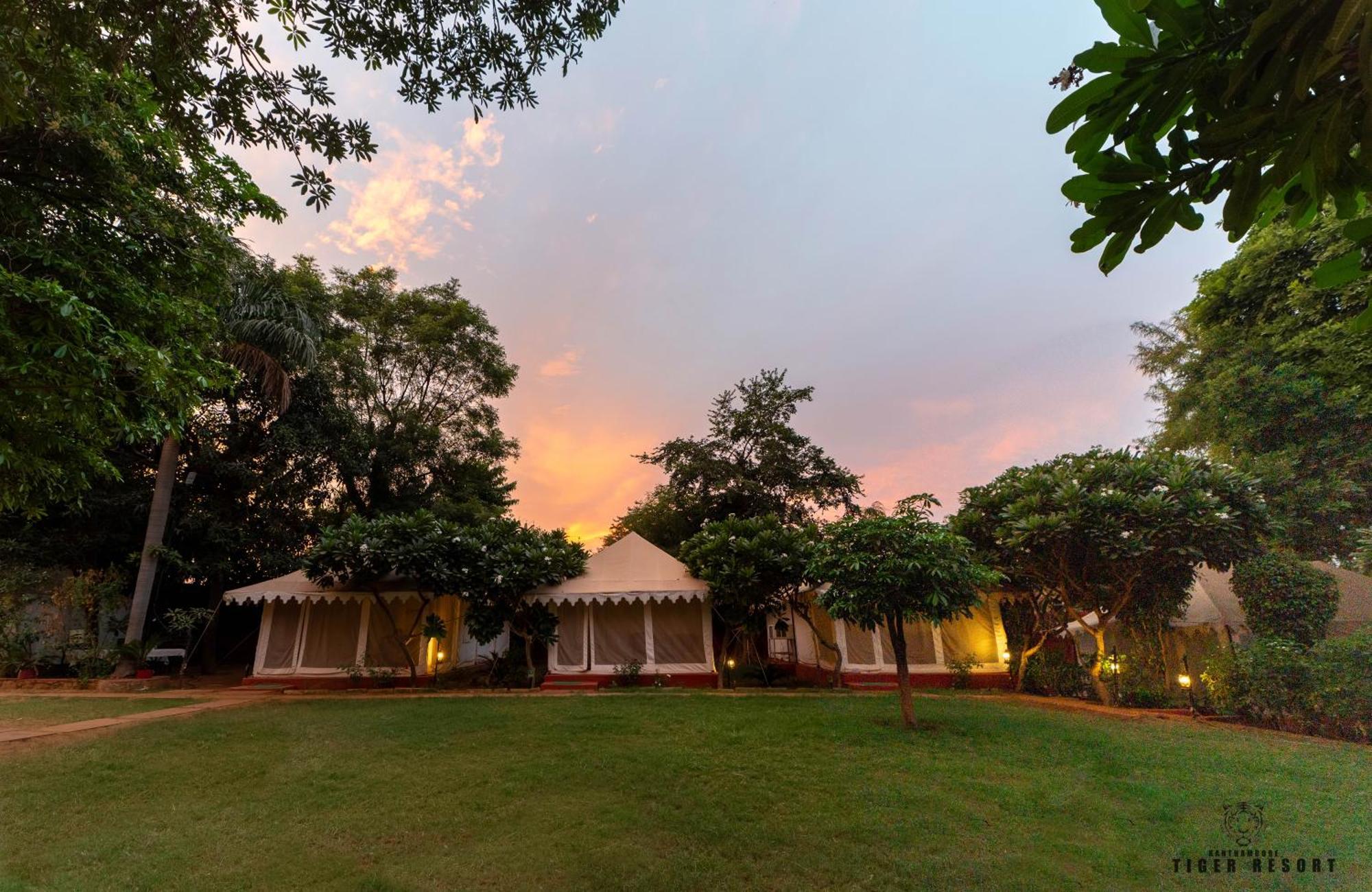 Ranthambore Tiger Resort Sawai Madhopur Luaran gambar