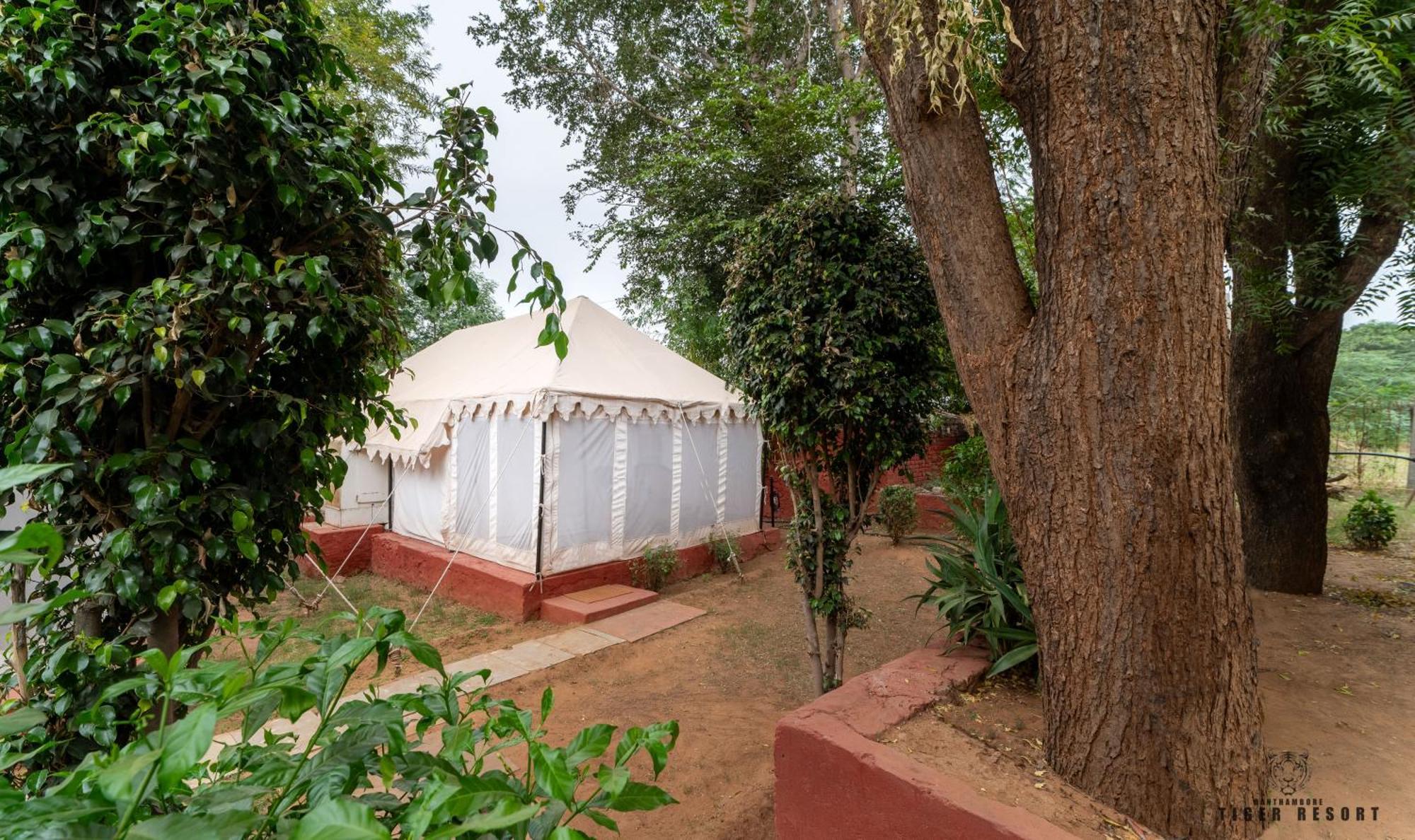 Ranthambore Tiger Resort Sawai Madhopur Bilik gambar